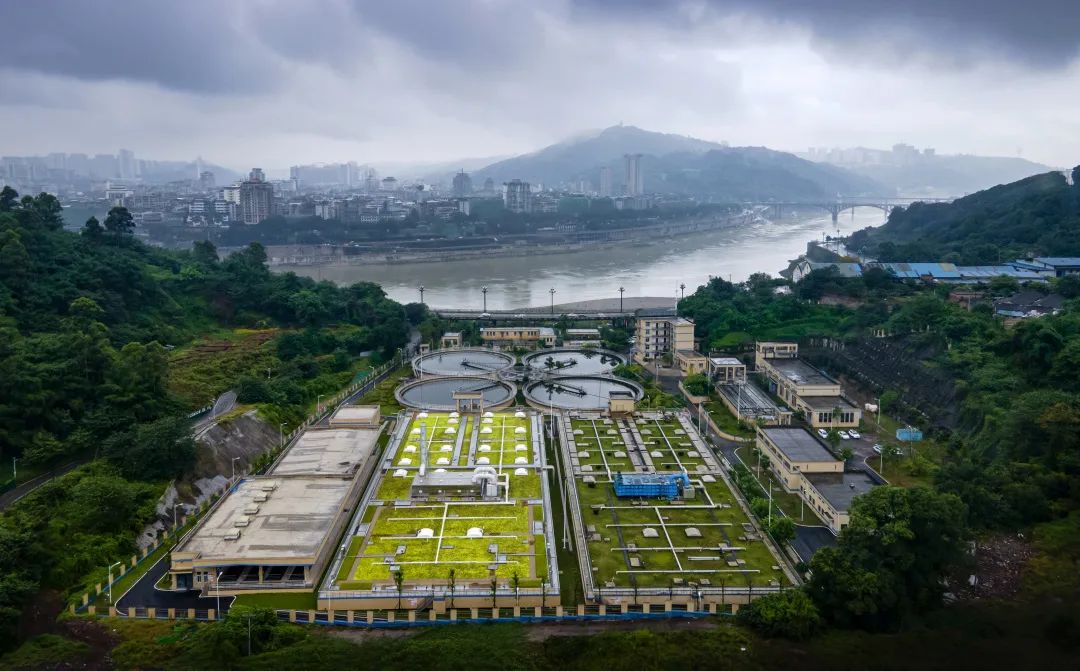 ����������(�й�)������-�й�����